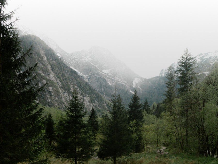 Women T-shirts & long sleeves