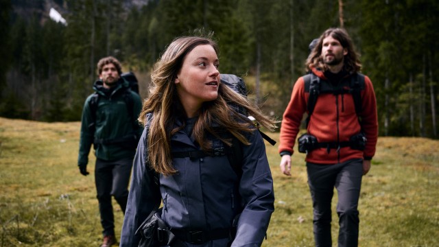 Four hikers walking through a wood