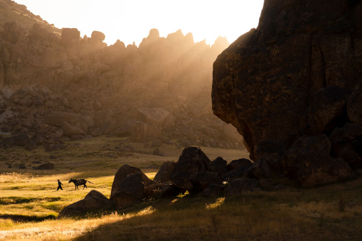 A person and a horse between rocks in the sun